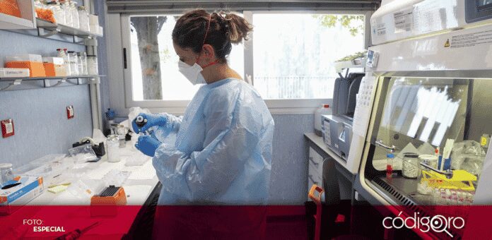 Hasta este miércoles, Países Bajos ha detectado un total de 167 casos de viruela del mono, casi el doble que hace una semana, alertó el Instituto de Salud Pública (RIVM)
