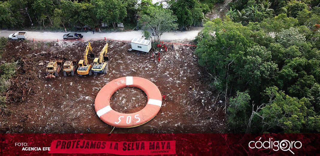 Tren Maya: juez rechaza levantar suspensión contra tramo 5