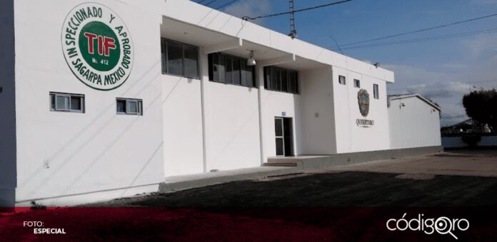 El titular de la Coordinación Municipal de Protección Civil de Querétaro, José Francisco Ramírez Santana, confirmó que –el 21 de julio pasado– se registró un accidente en el Rastro Municipal, cuyo desenlace fue el fallecimiento de un trabajador