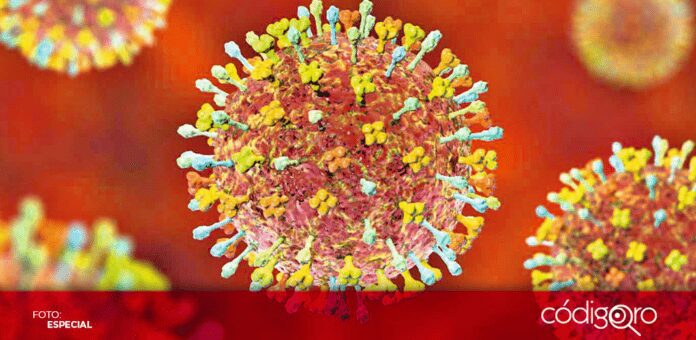 dos provincias chinas de 35 contagios en humanos de un nuevo virus de origen animal del tipo Henipavirus,