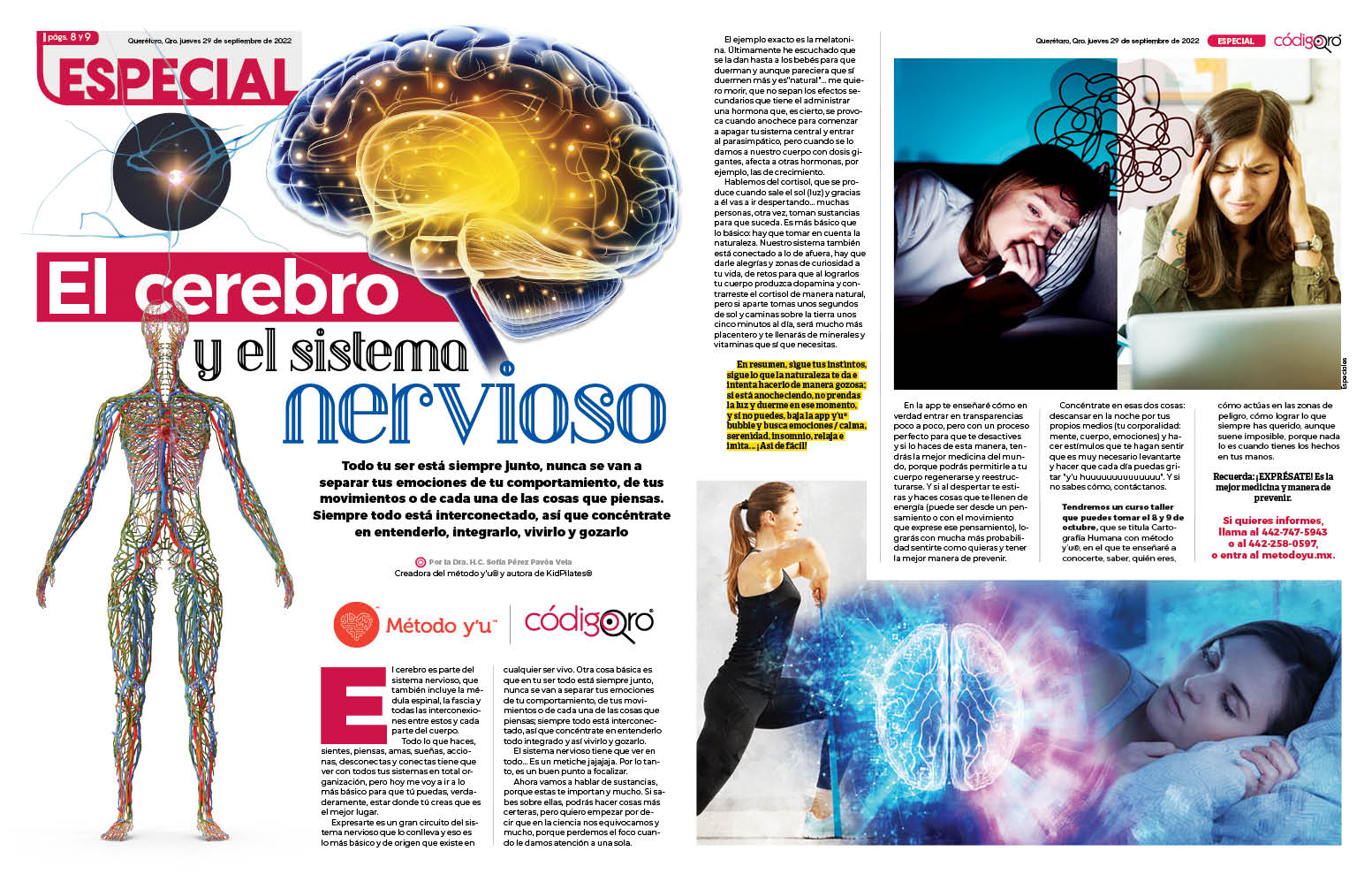 El cerebro y el sistema nervioso
