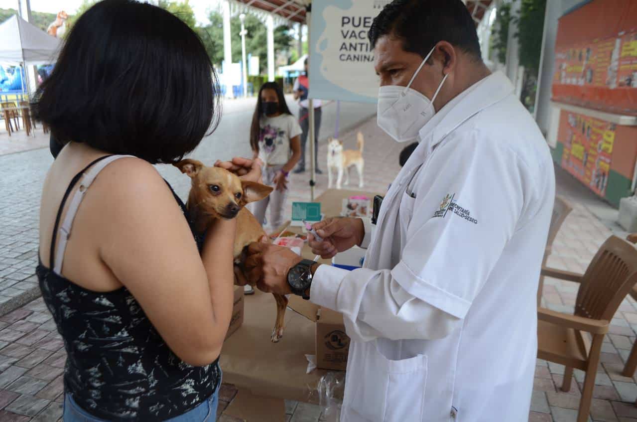 La secretaria de Servicios Públicos Municipales, Alejandra Haro de la Torre, recordó que el Municipio de Querétaro se ha ocupado de promover el bienestar animal y la tenencia responsable de mascotas