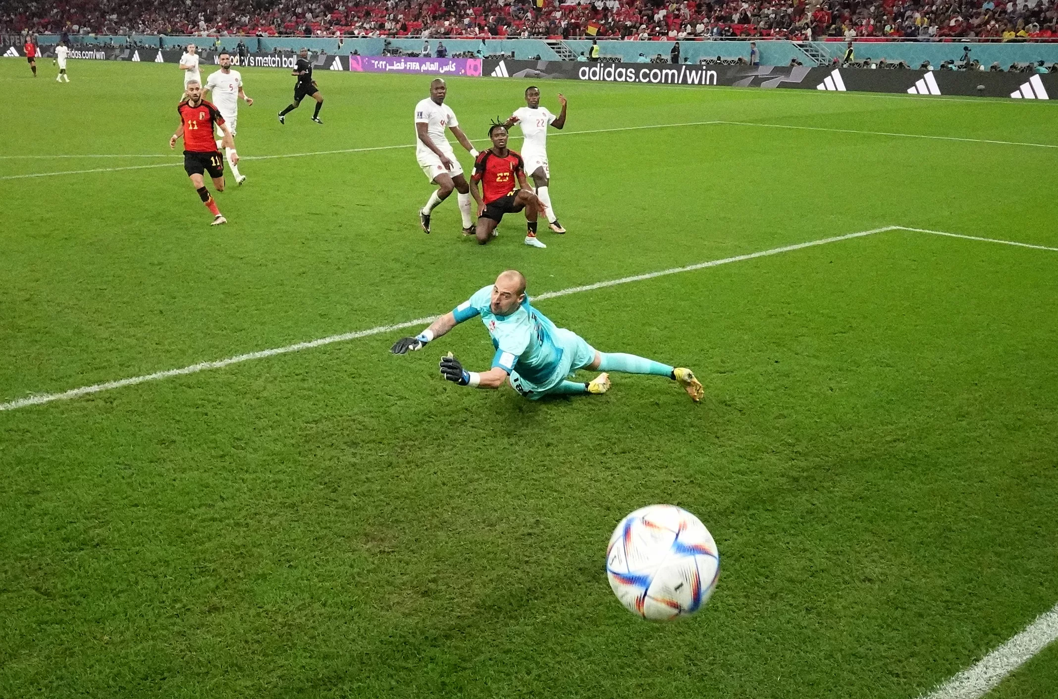 Michy Batshuayi no perdonó y sobre la salida de Milan Borjan puso el balón en la red