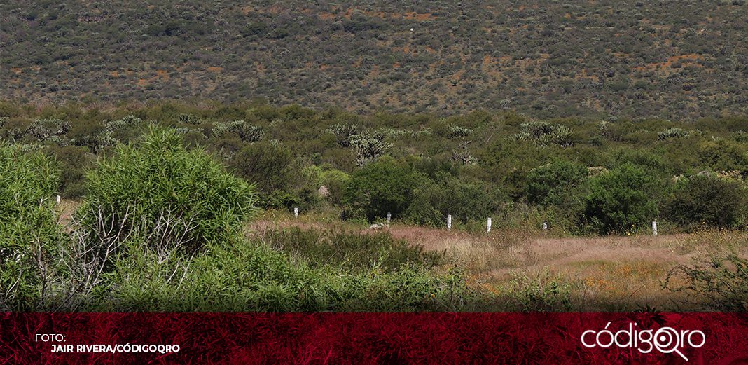 Municipio, a favor del decreto de Peña Colorada: Nava