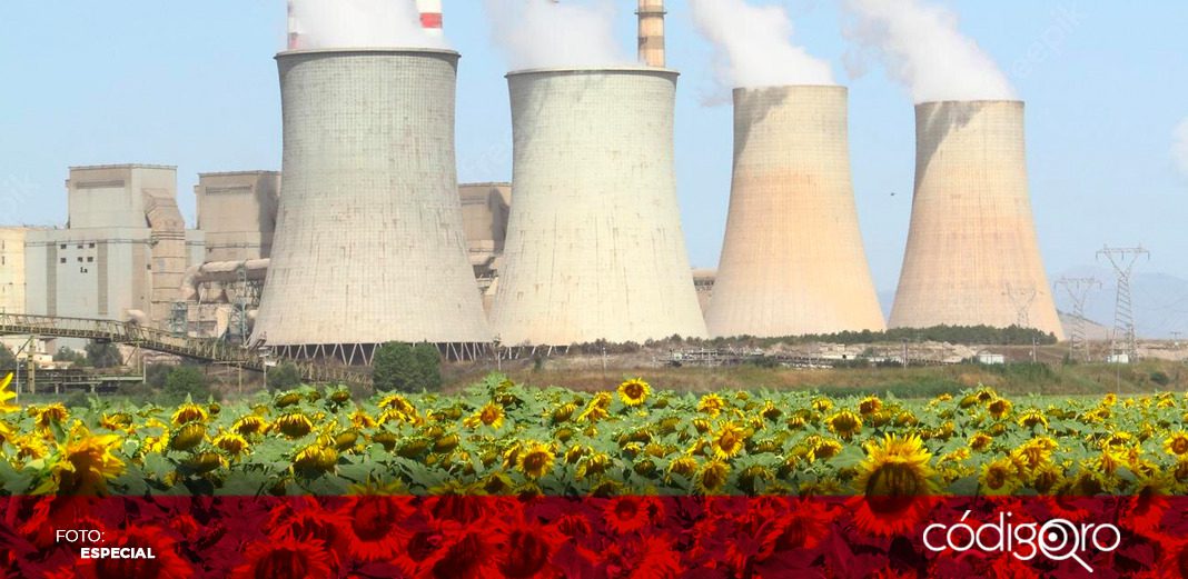 Girasoles para desastres nucleares