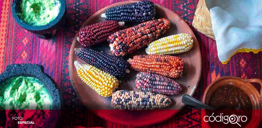 Querétaro albergará Museo Nacional de Gastronomía Mexicana
