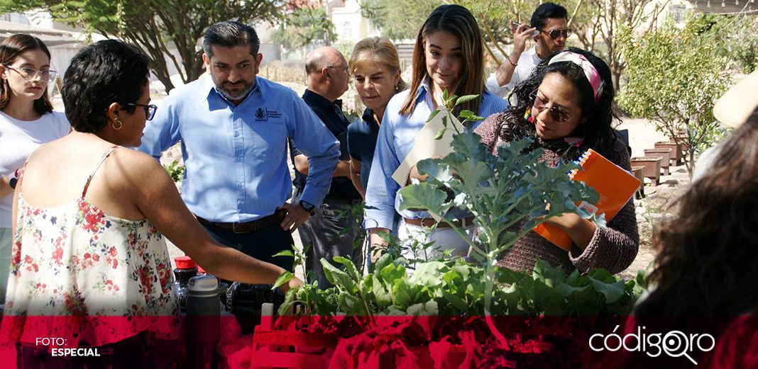 Sedesu impulsa emprendimiento a favor del medio ambiente
