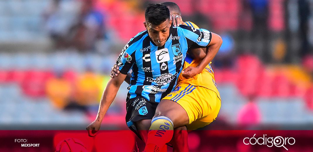 Gallos, condenando a pagar multa