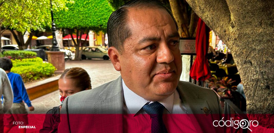 Con Guardia Nacional, disminuye tala clandestina en Amealco