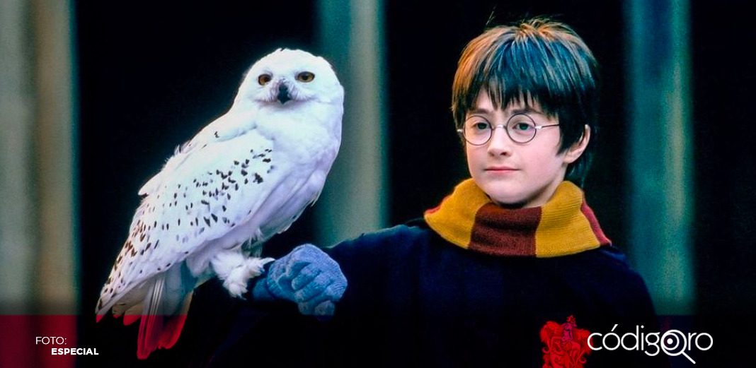 ¡Es oficial! Harry Potter vuelve como serie para Max