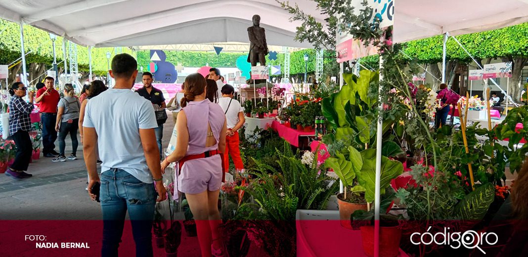 Realizan primera Feria de la Flores en la capital queretana
