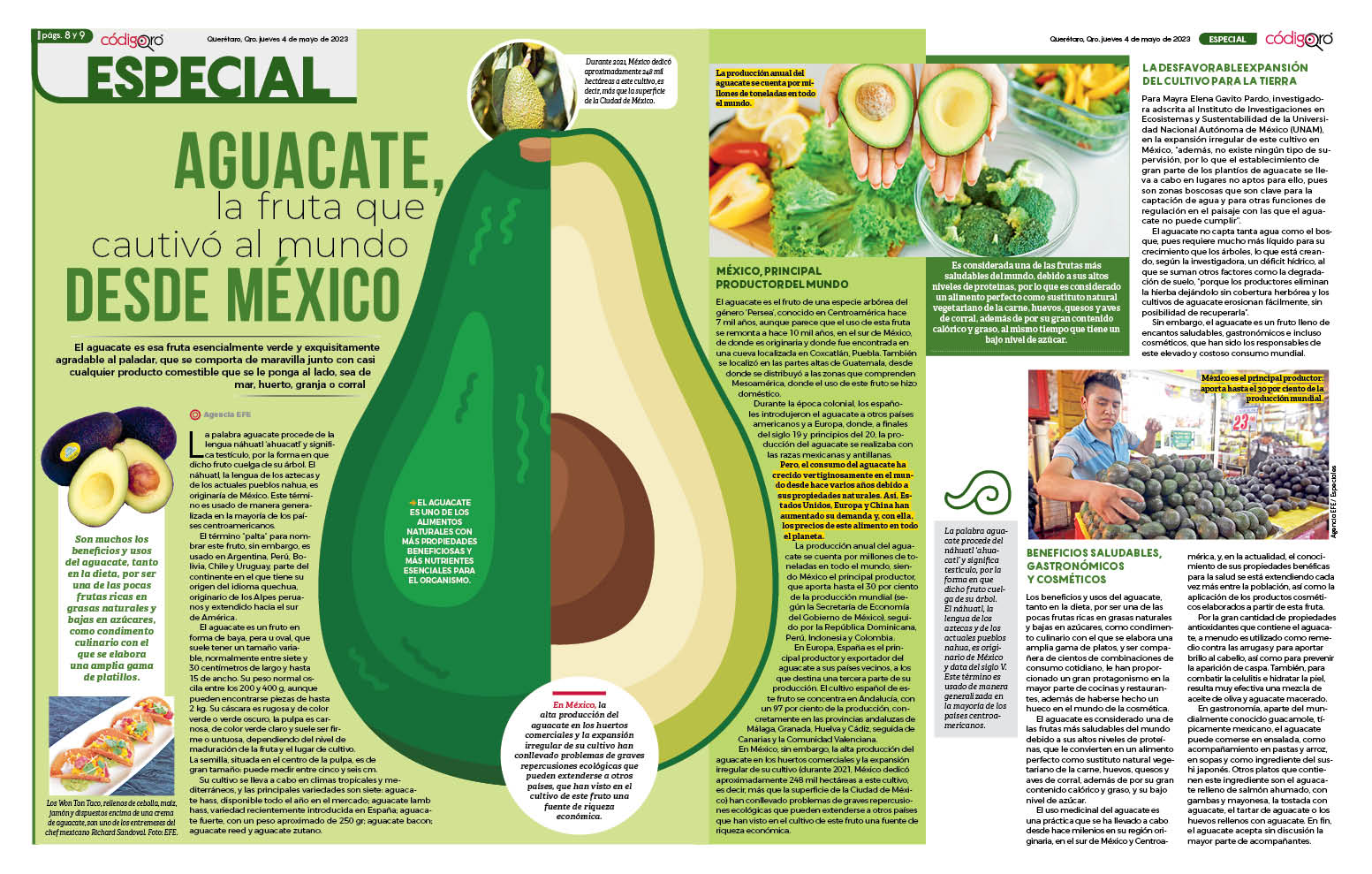 Aguacate, la fruta que cautivó al mundo desde México