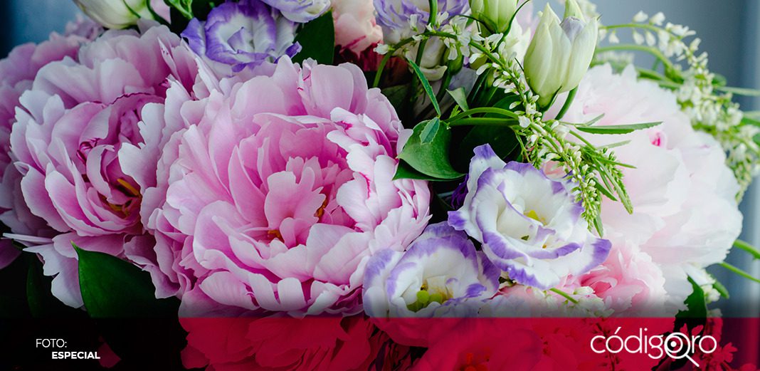 Celebrarán Feria de las Flores en el Jardín Guerrero