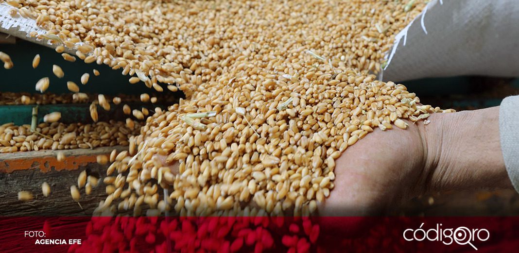 Rusia y Ucrania extienden acuerdo sobre cereales