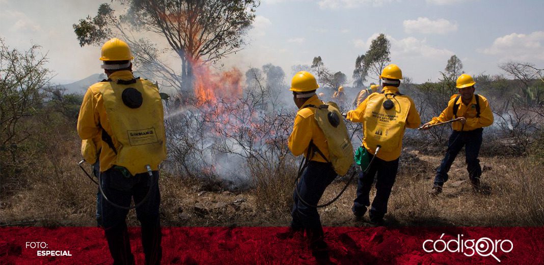 Sedea fortalece combate a incendios forestales