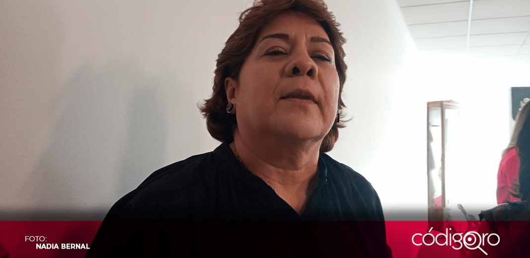 Cumplir acciones afirmativas, en manos de partidos políticos: diputada
