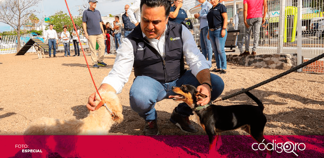 Entrega Nava nuevo parque canino en Avenida del Parque