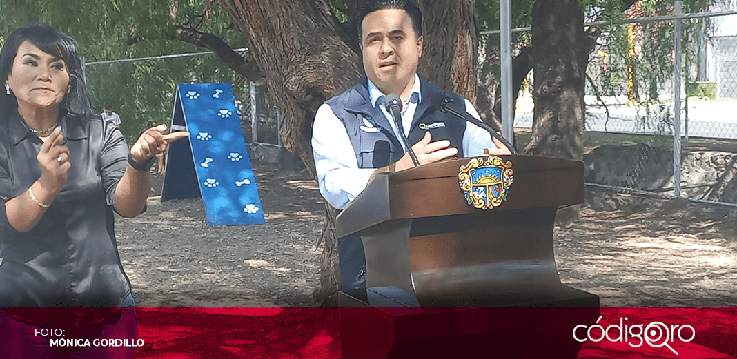 No hay riesgo de que Ola Azul llegue a Querétaro: Nava
