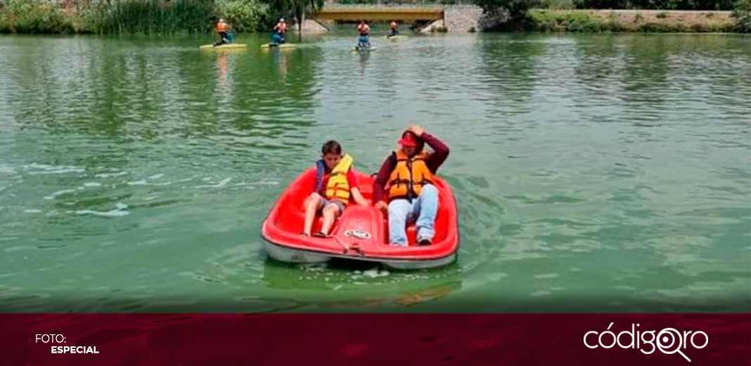 Lago del Parque Bicentenario, libre de basura tras limpieza de drenes