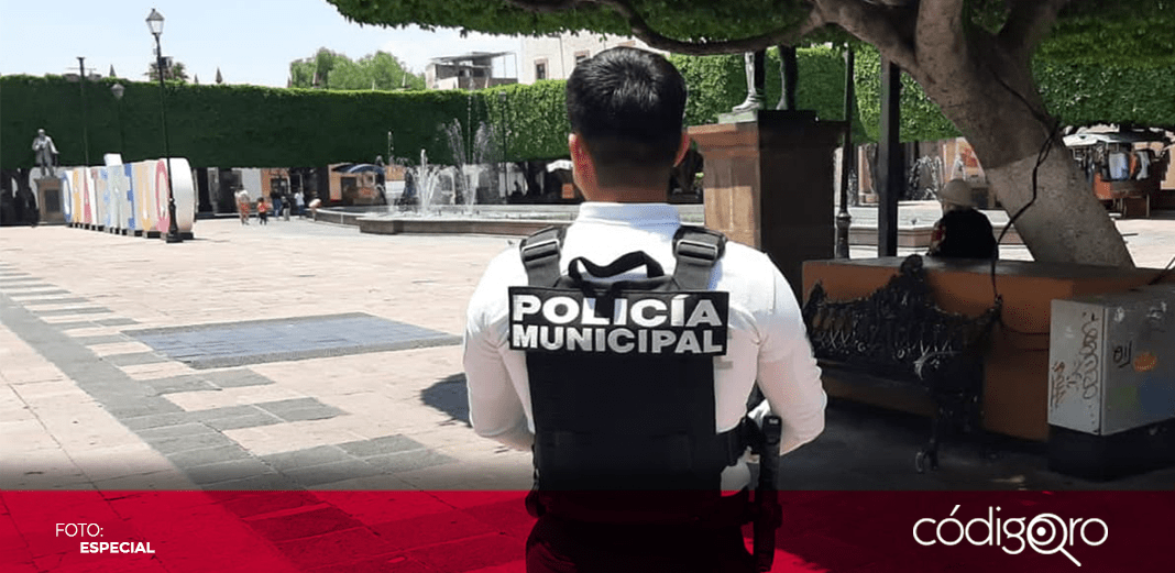 Se analizará viabilidad de policías encubiertos: Nava