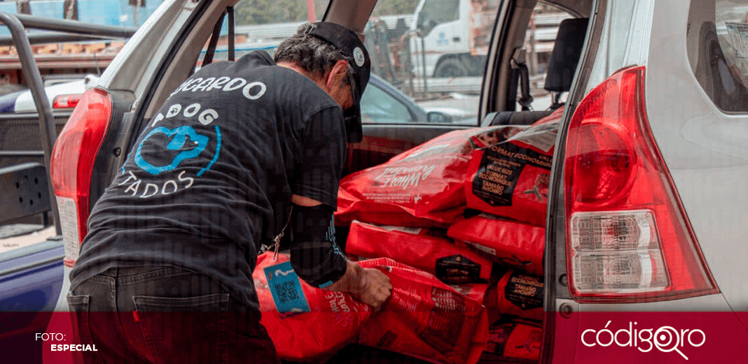 Fiscalía entrega alimento para perro a organizaciones sin fines de lucro