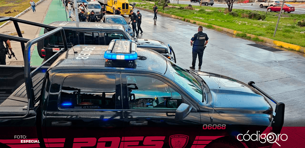 Durante julio, la POES recuperó 95 vehículos robados