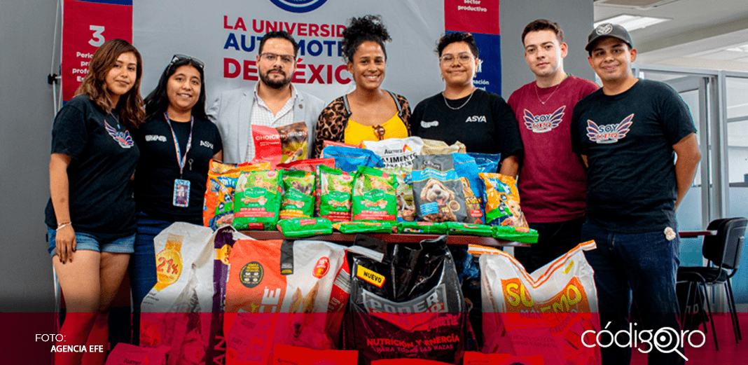 Organiza UPQ Croquetón a favor de perros rescatados