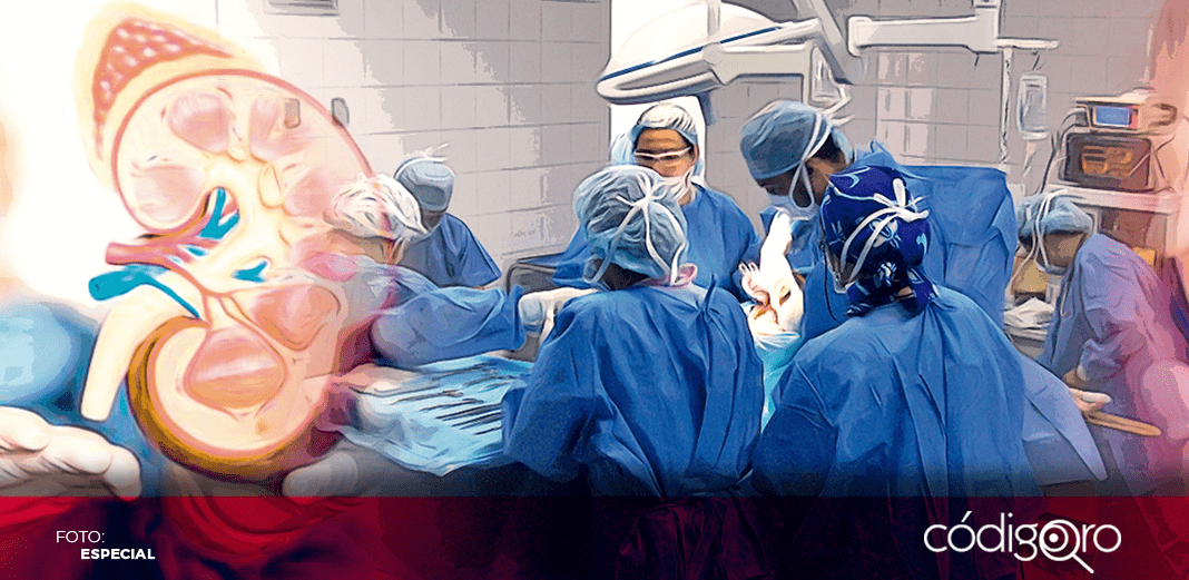 A la espera, 50 pacientes, de recibir un riñón en donación