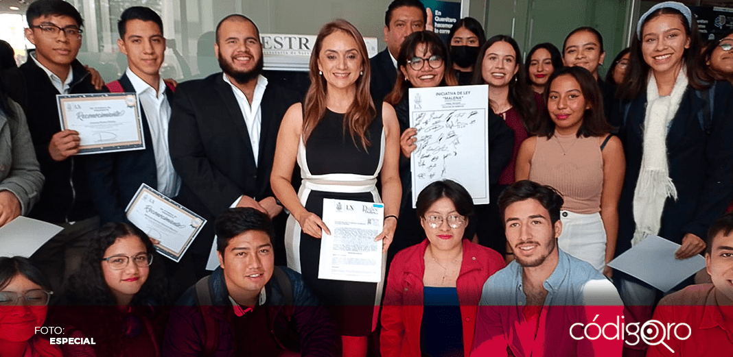 Presenta diputada local iniciativa de Ley Malena