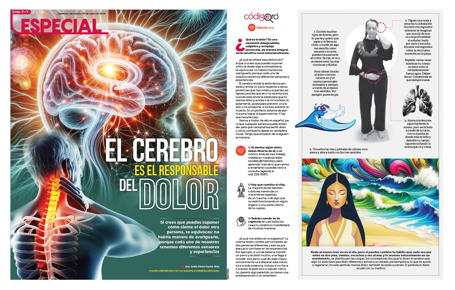El cerebro es el responsable del dolor