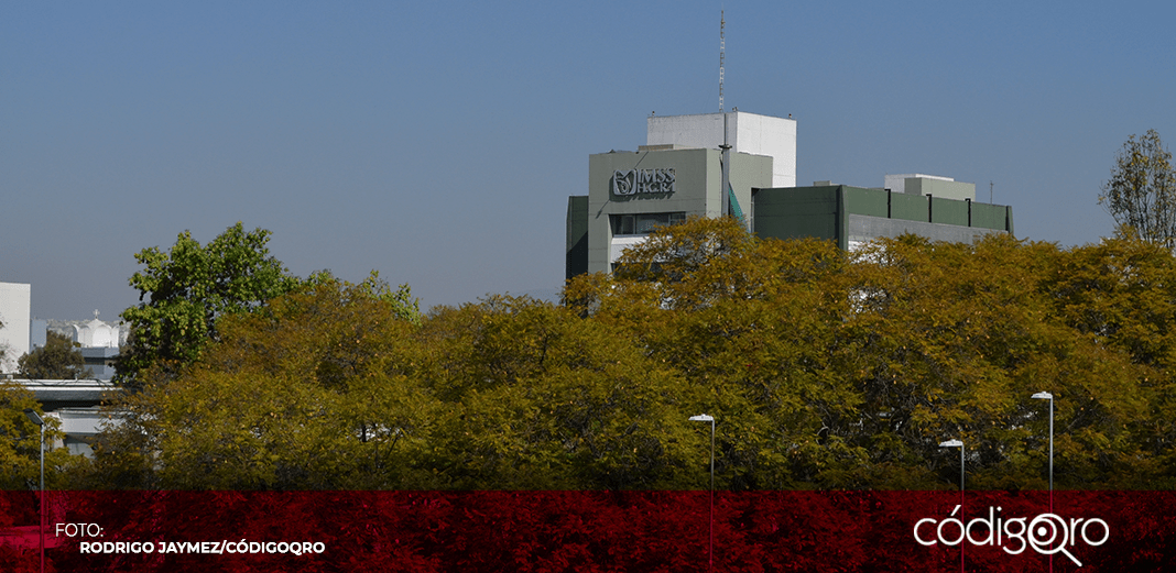 Continúa en análisis, solicitud de pensión por orfandad: IMSS