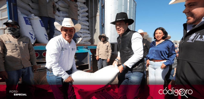 El titular de la Sedea, Rosendo Anaya, encabezó en el municipio de El Marqués la entrega de 414 toneladas de maíz