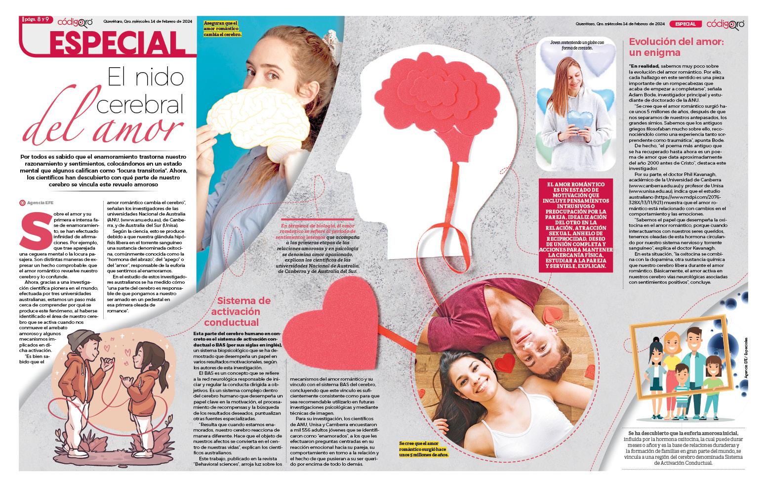 El nido cerebral del amor