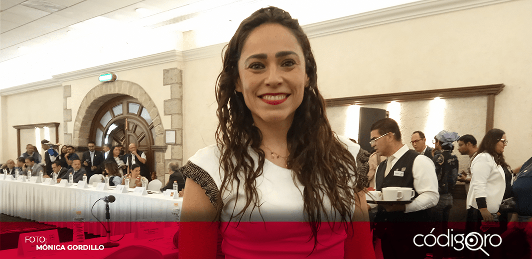 Eliminación de pluris sería un golpe a la democracia: PRI