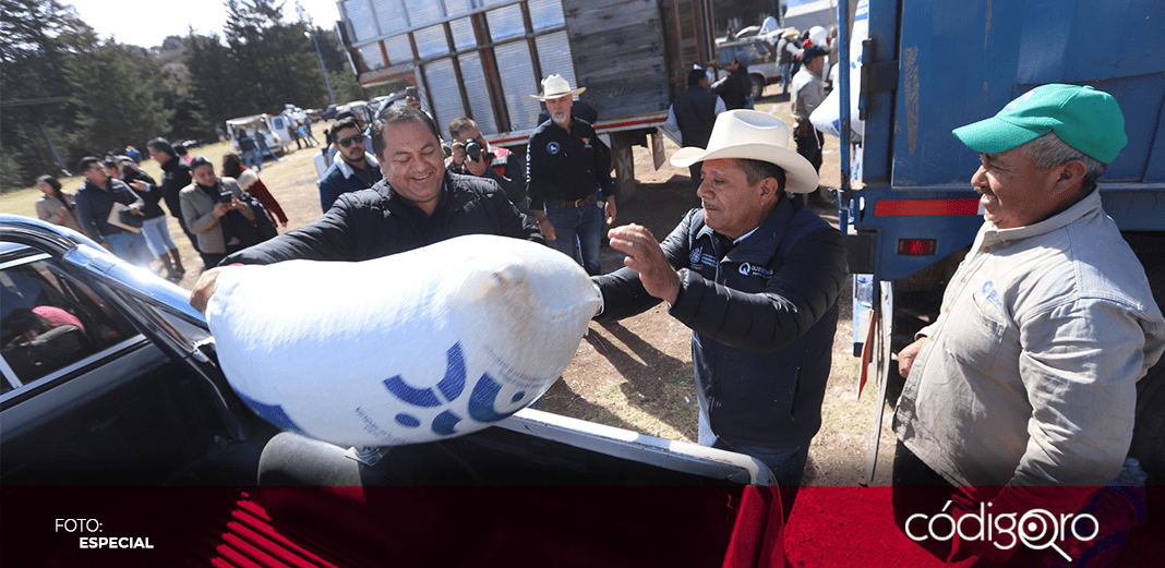 Sedea apoya a 5 mil familias del campo en Amealco