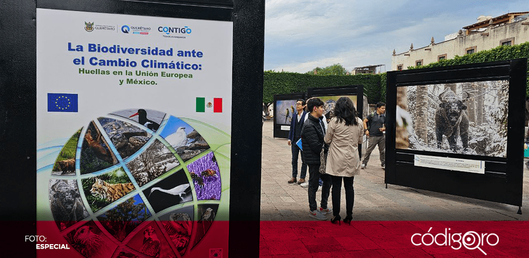 Unión Europea instala exposición fotográfica en Querétaro