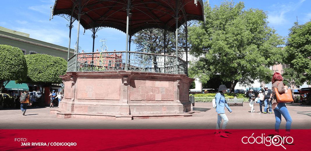 Continuarán acciones para eliminar roedores en la capital