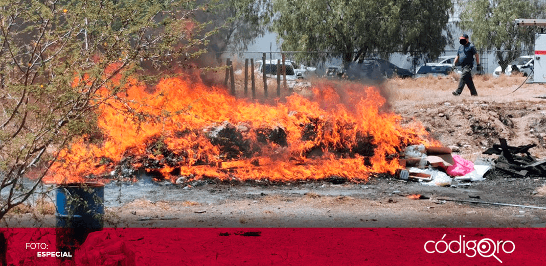 FGR incinera más de 153 kilos de drogas en Querétaro
