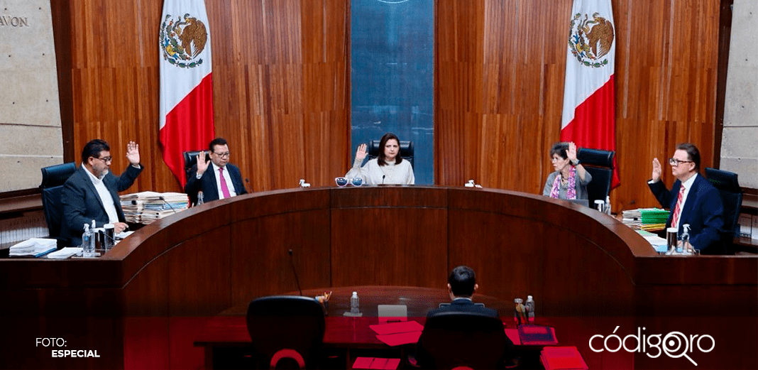 TEPJF rechaza registro de candidatura presidencial indígena