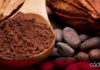 El cacao es el principal producto que México importa de Ecuador. Foto: Especial