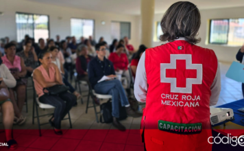 La Cruz Roja Mexicana ofrece cursos de capacitación para adultos mayores. Foto: Especial