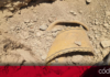 Fueron identificados los restos humanos hallados en el municipio de San Juan del Río. Foto: Especial