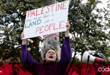 Se multiplican las protestas a favor de Palestina en universidades de Estados Unidos. Foto: Agencia EFESe multiplican las protestas a favor de Palestina en universidades de Estados Unidos. Foto: Agencia EFE