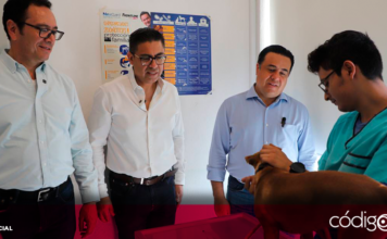 La Campaña de Vacunación Antirrábica Canina y Felina 2024 continúa en las 7 delegaciones de Querétaro, así como en las 3 Unidades de la Dirección de Protección, Cuidado y Control Animal