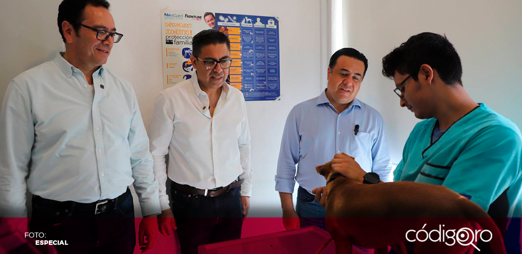 Continúa la Campaña de Vacunación Antirrábica Canina y Felina 2024 en Querétaro