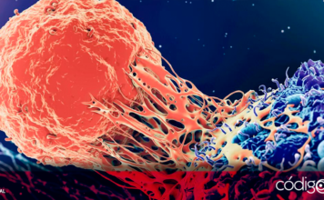 Investigadores de la Universidad Estatal de Virginia crean un nuevo tipo de inmunoterapia contra el cáncer