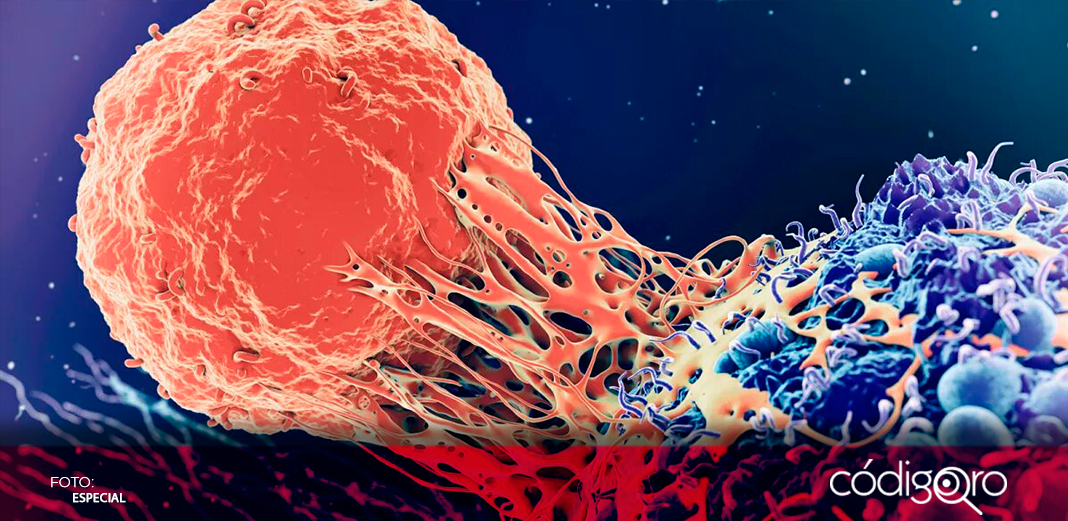 Crean un nuevo tipo de inmunoterapia contra el cáncer