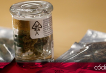EUA "podría" clasificar a la marihuana como una droga de bajo riesgo, de acuerdo con información de medios estadounidenses; falta la aprobación de la DEA