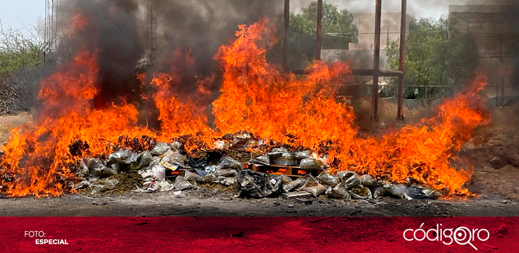 FGR destruye más de 50 kilos de drogas en Querétaro