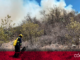 Hasta la fecha, la Sedea ha registrado casi 60 incendios forestales. Foto: Especial
